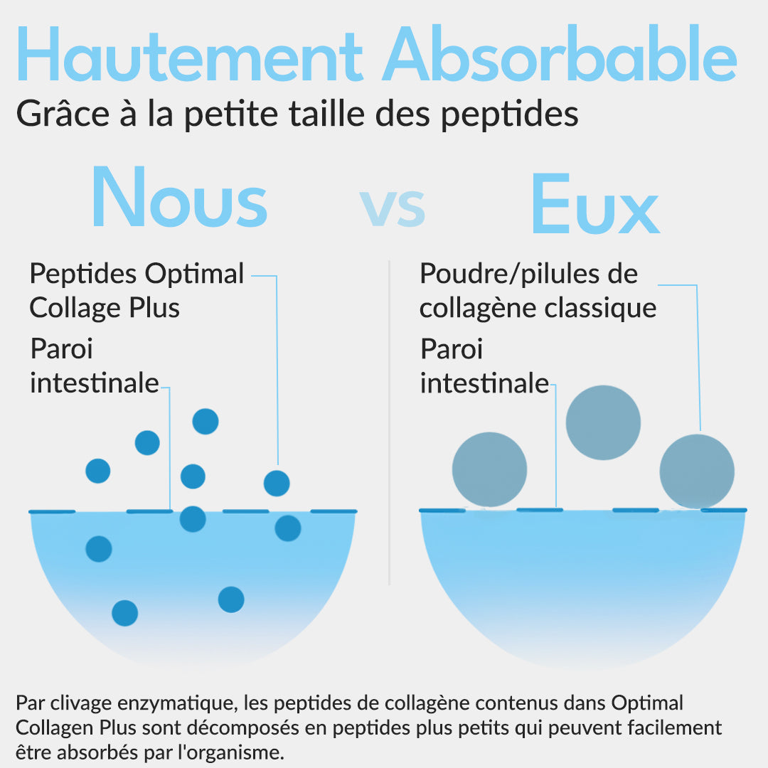 Collagene Plus ottimale