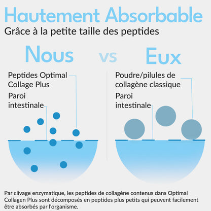 Collagene Plus ottimale