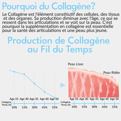 Collagene Plus ottimale